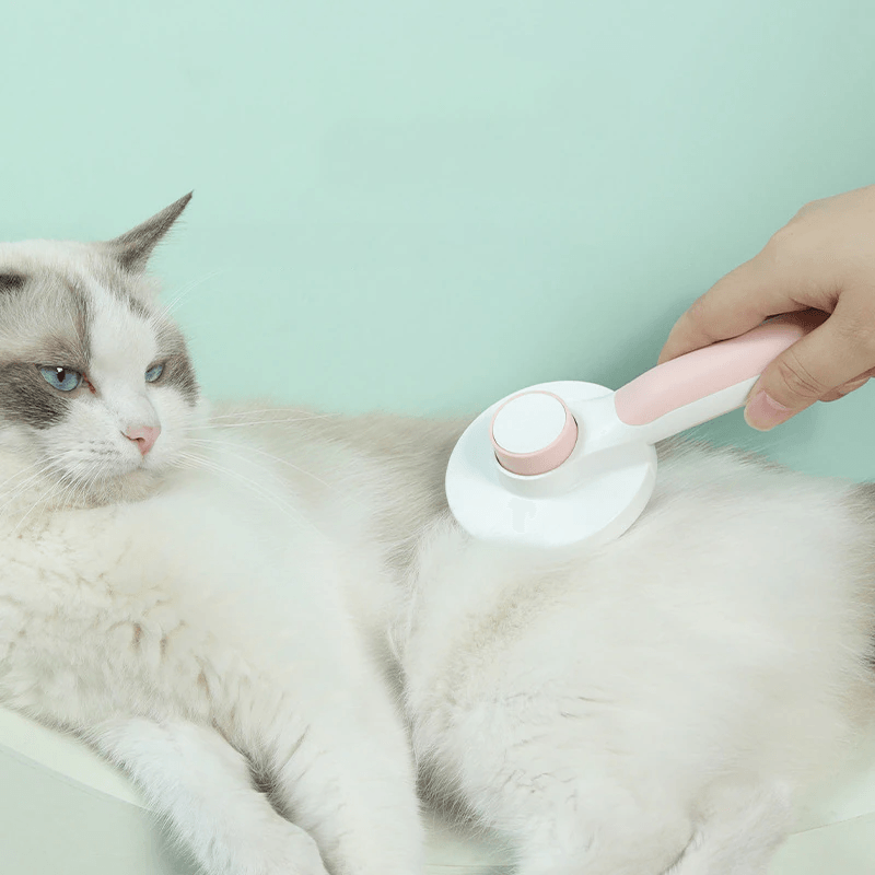 escova magnética para remover excessos de pêlos - p/cães e gatos. - LOJAS VAREJÃO